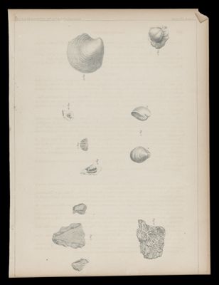 Illustration 1