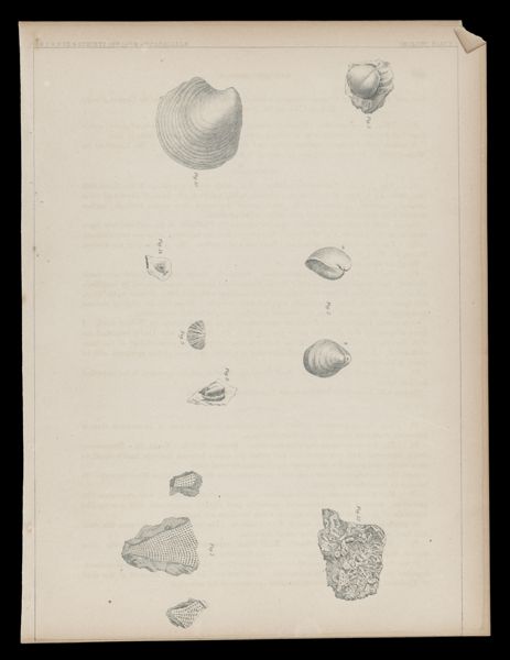 Illustration 1