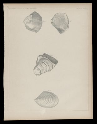 Illustration 2