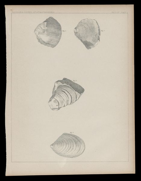Illustration 2