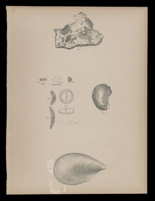 Illustration 3
