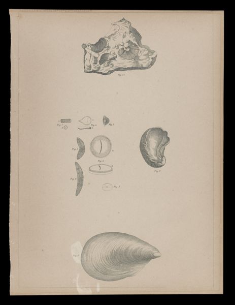 Illustration 3