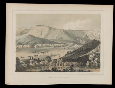 Valley of Willam's River
