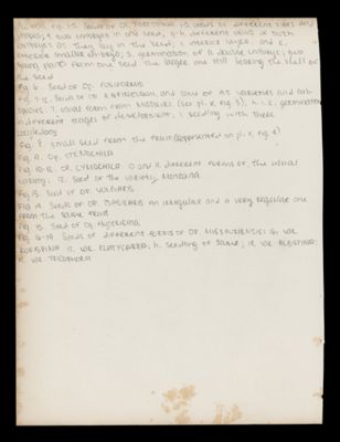 Text Page 29 (handwritten)