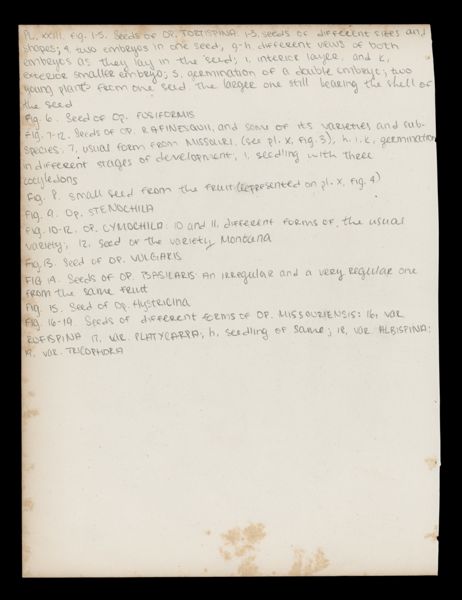 Text Page 29 (handwritten)