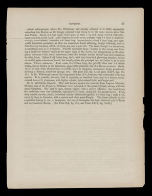 Reports of Explorations and Surveys, to ascertain the most practicable and economical route for a railroad from the Mississippi River to the Pacific Ocean. Made under the direction of the Secretary of War, in 1853-[6] . Vol. 4 [Illustrations only] 