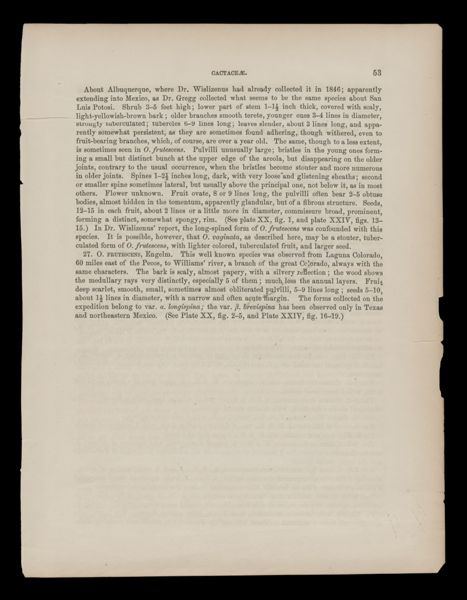 Reports of Explorations and Surveys, to ascertain the most practicable and economical route for a railroad from the Mississippi River to the Pacific Ocean. Made under the direction of the Secretary of War, in 1853-[6] . Vol. 4 [Illustrations only] 