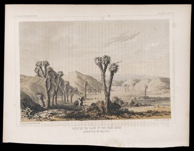 Valley in the Slope of the Great Basin Leading from the Tejon Pass