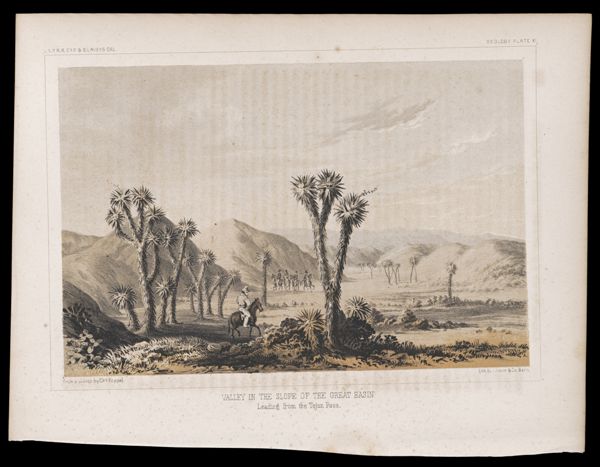 Valley in the Slope of the Great Basin Leading from the Tejon Pass