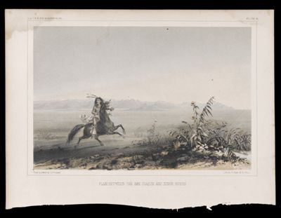 Plain Between the San Joaquin and King's Rivers