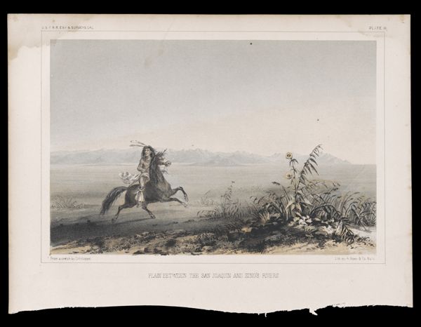 Plain Between the San Joaquin and King's Rivers