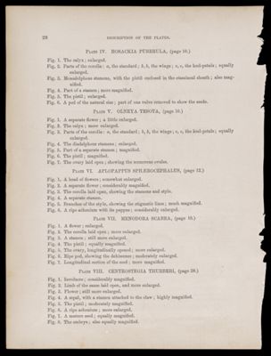 Chapter III. Description of the Plates. By John Torrey, M.D.