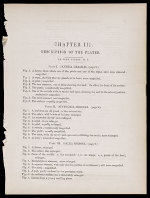 Reports of Explorations and Surveys, to ascertain the most practicable and economical route for a railroad from the Mississippi River to the Pacific Ocean. Made under the direction of the Secretary of War, in 1853-[6] . Vol. 7 [Illustrations and relevant texts only]