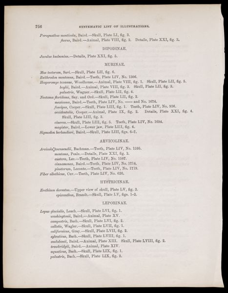 Systematic List of Illustrations. 4