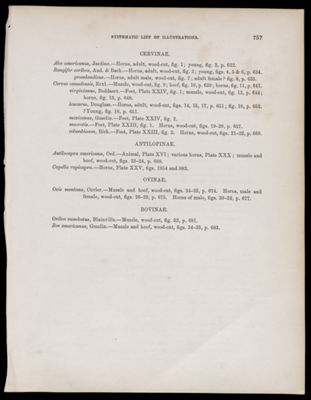 Systematic List of Illustrations. 5
