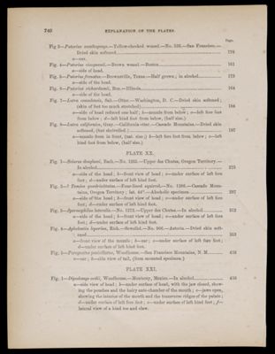 Reports of Explorations and Surveys, to ascertain the most practicable and economical route for a railroad from the Mississippi River to the Pacific Ocean. Made under the direction of the Secretary of War, in 1853-[6] . Vol. 8 [Illustration and relevant texts only]
