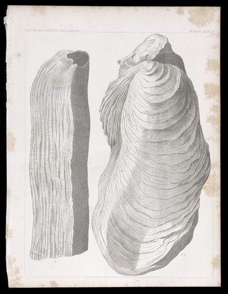Geology -- Plate IV