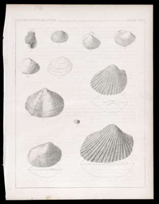 Geology -- Plate II