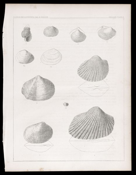 Geology -- Plate II