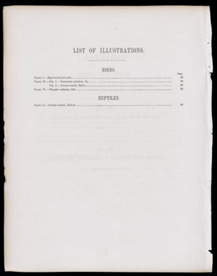 List of Illustrations [partial]
