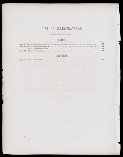 List of Illustrations [partial]