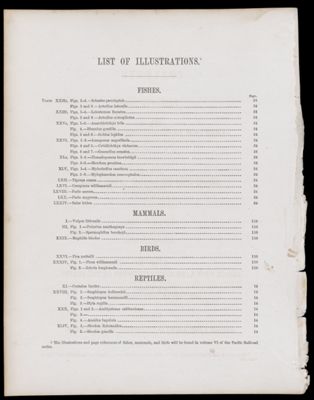 List of Illustrations [partial]