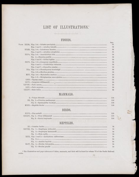 List of Illustrations [partial]