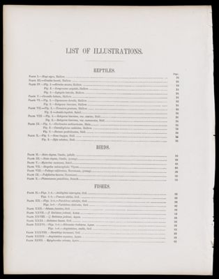 List of Illustrations [partial]