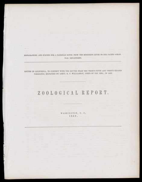 Zoological Report [Title Page]