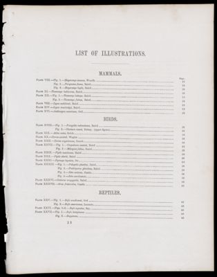 List of Illustrations [partial]