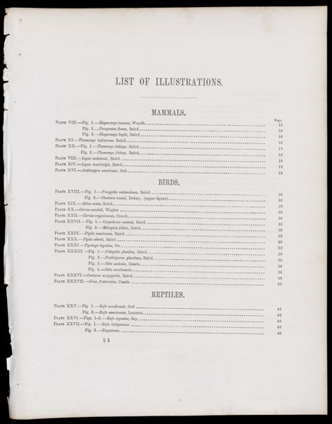 List of Illustrations [partial]