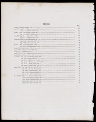 List of Illustrations [partial, continued]