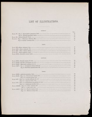 List of Illustrations [partial]