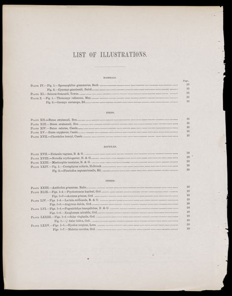 List of Illustrations [partial]