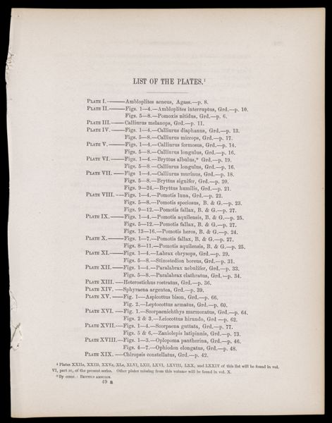 List of the Plates