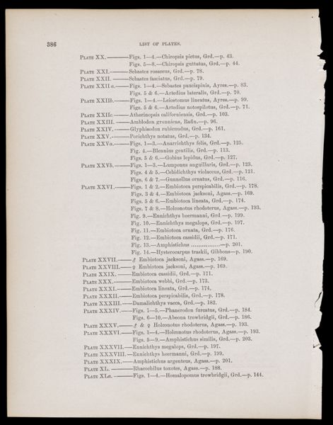 List of the Plates