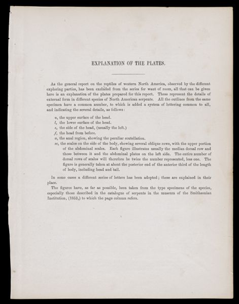 Explanation of the Plates