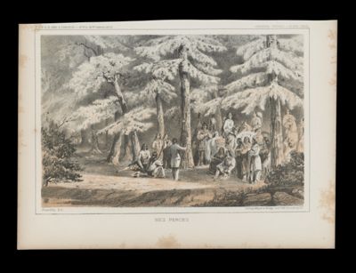 Nez Perces