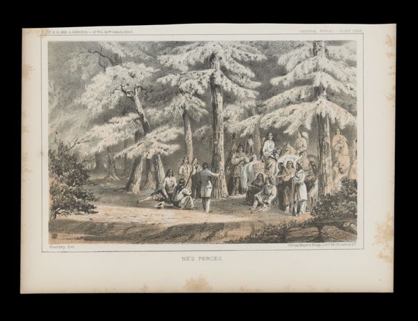 Nez Perces