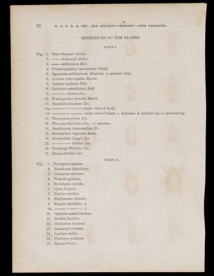 References to the plates.