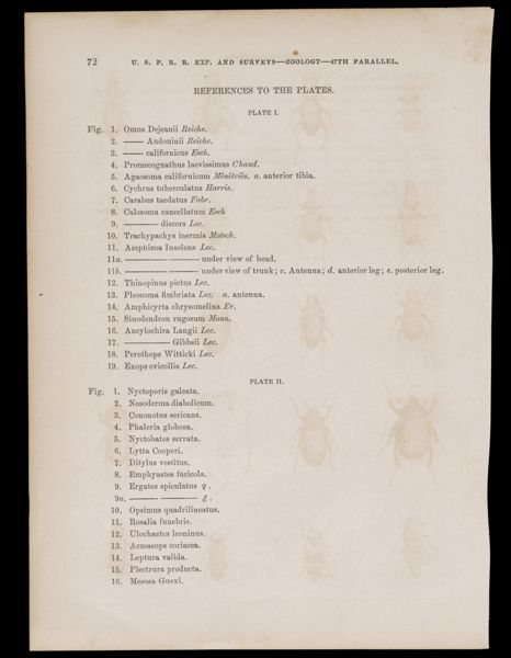 References to the plates.
