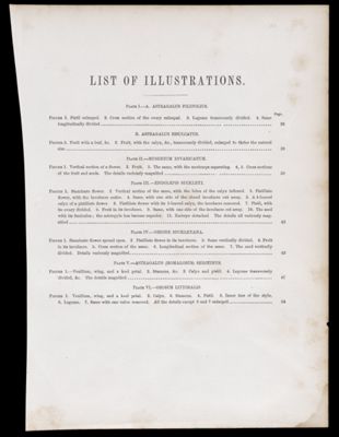 List of Illustrations.