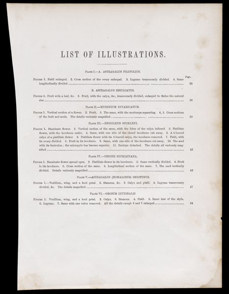 List of Illustrations.