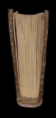 [Bottom]