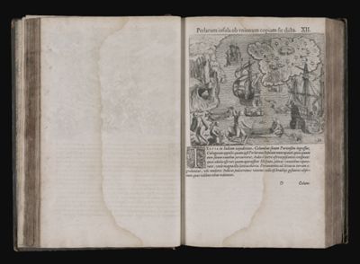 Perlarum insula ob unionum copiam sic dicta. XII.