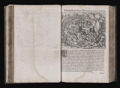 Indorum alji occiduntur, alji incendio pereunt, XVIII.