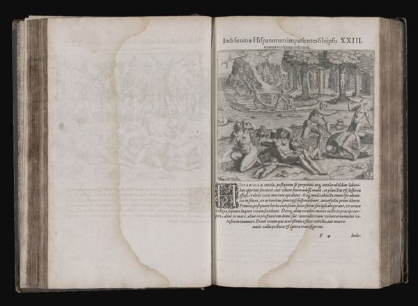 Indisæuitiæ Hispanorum impatientes sibijpsis manus violentas inferunt. XXIII