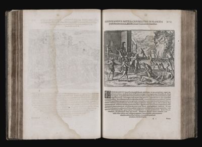 Ferdinandus Sotto crudeliter in Florida præsecturam exercet, abscissis etiam Cacicorum manibus. XVII