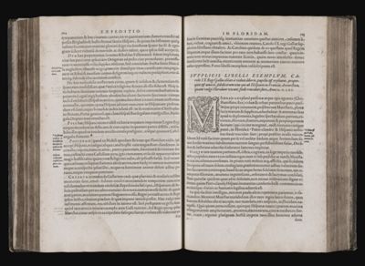 Page 175