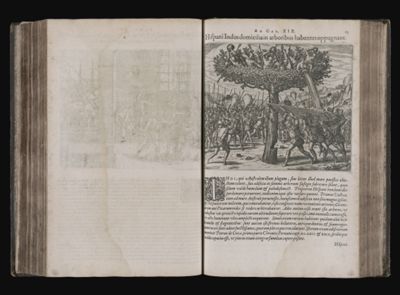 Ad Cap. XIX. Hispani Indos domicilia in arboribus habentes oppugnant.